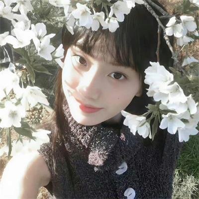 阿尔法爸爸